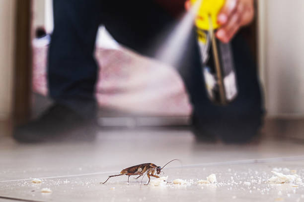 Best Commercial Pest Control Services  in Belle Haven, VA